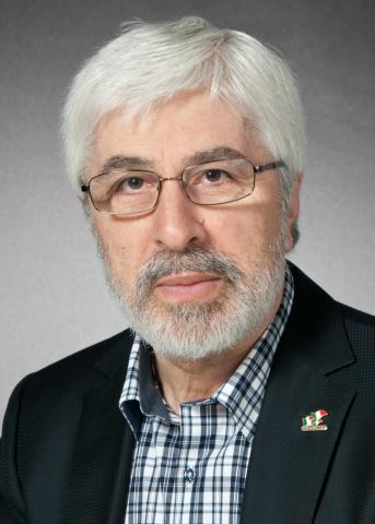 Professor Gabriel Niccoli