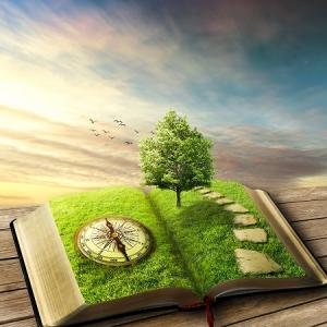 Green tree compass and open book